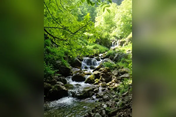 Боров камък, Враца