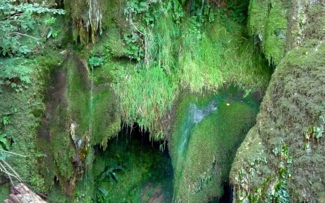 Крушунски водопади