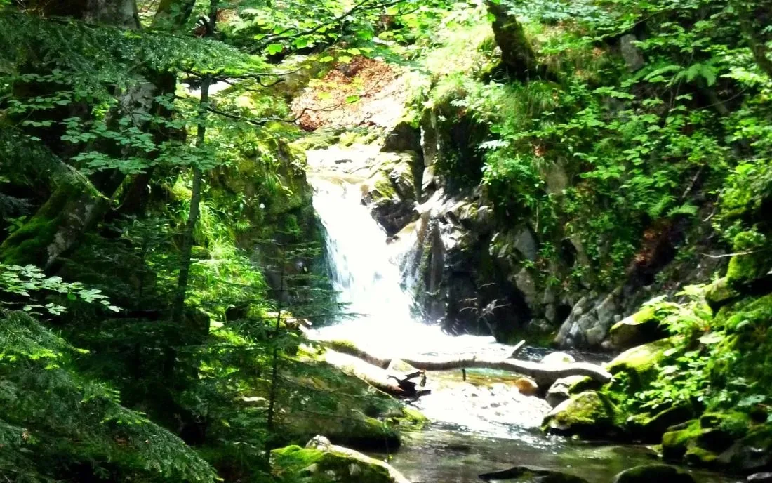 Водопад Видимско пръскало