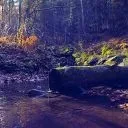 Господинци
