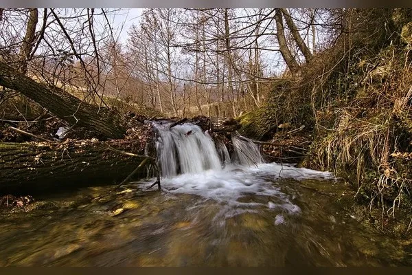 Вонеща вода