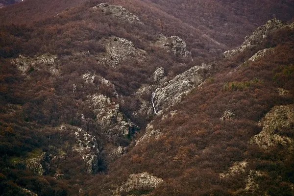 Кормянско