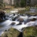 Интересни факти за България
