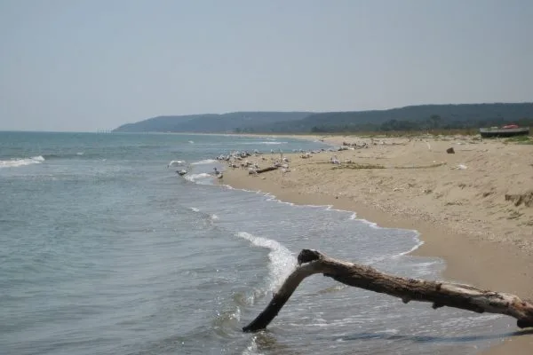 Морският бряг и чайки при устието на река Камчия