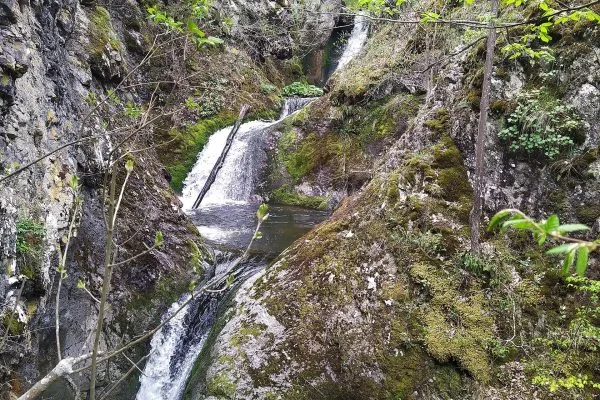 Каскадата на Казаните под паднали дънери и клони