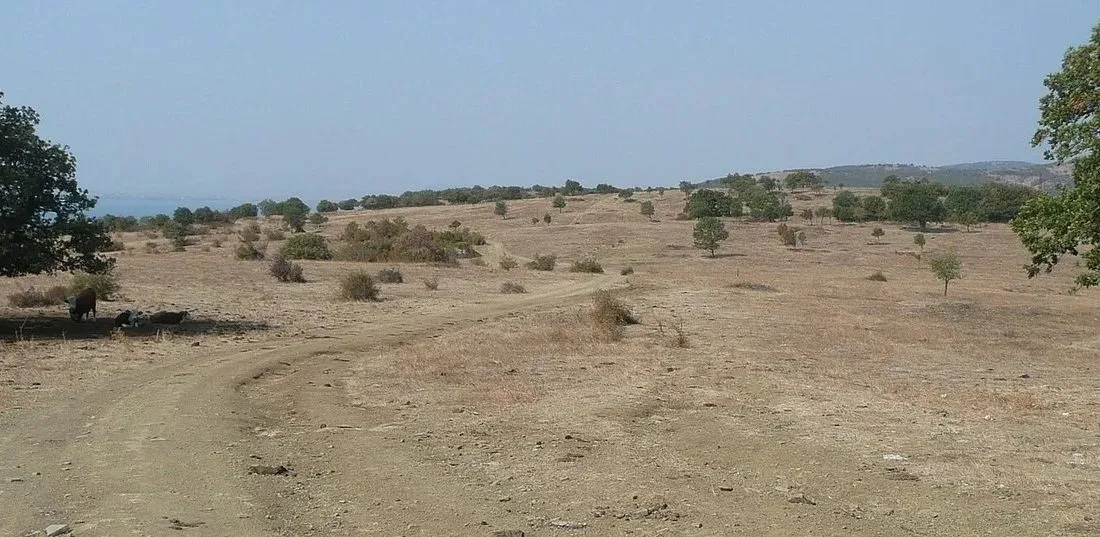 Пасищата към нос Емине край Кошарица