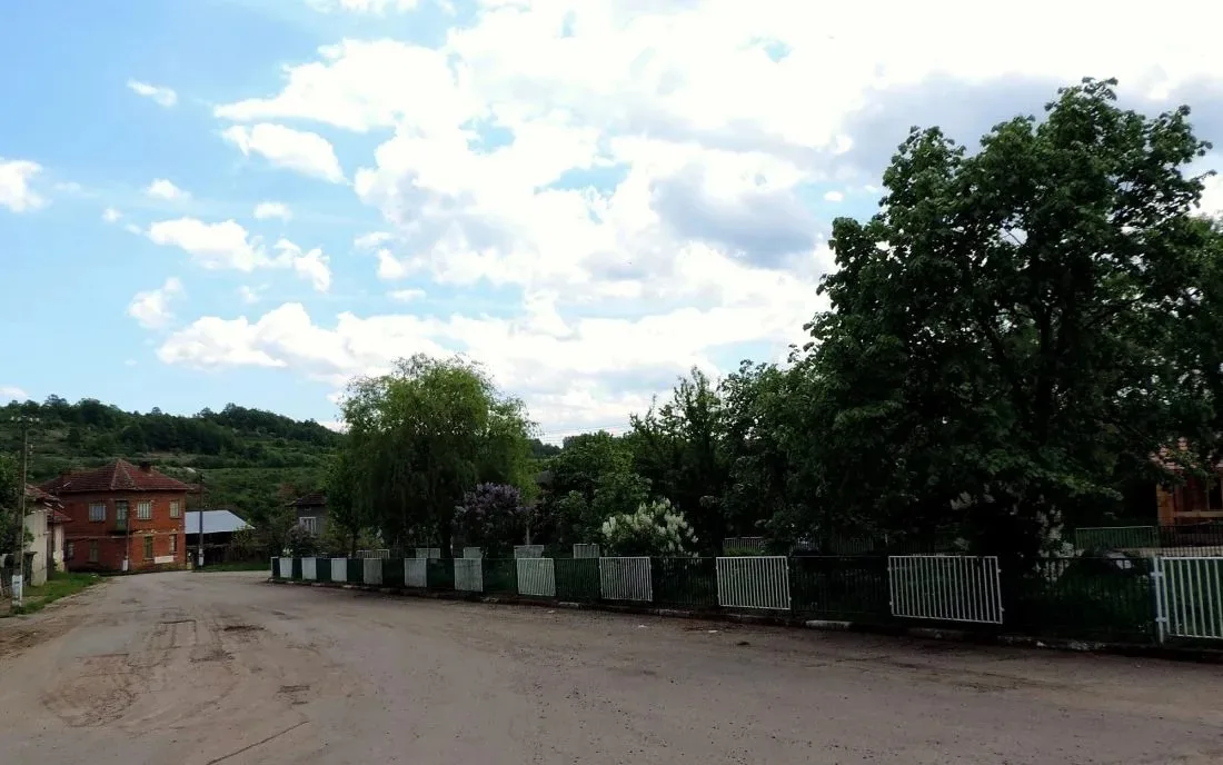 Бистрилица