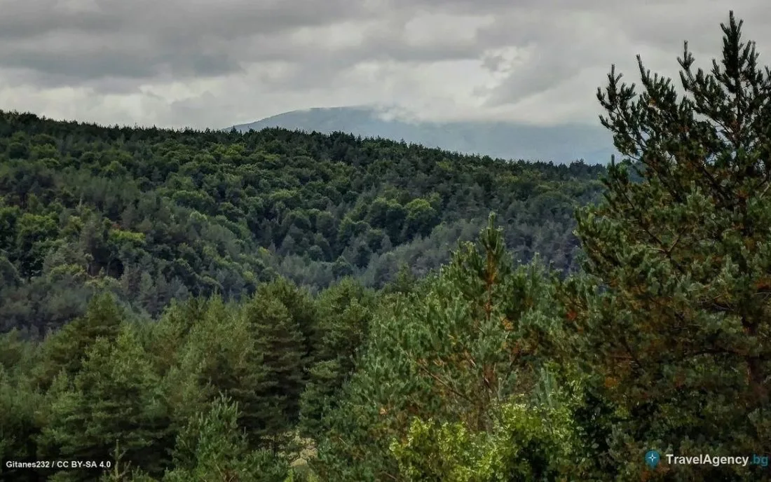Плана планина над село Горни Окол