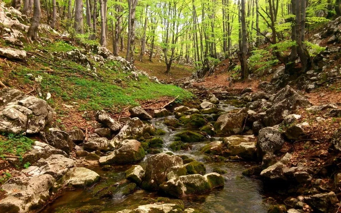 Загражденски водопади