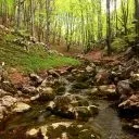 Загражденски водопади