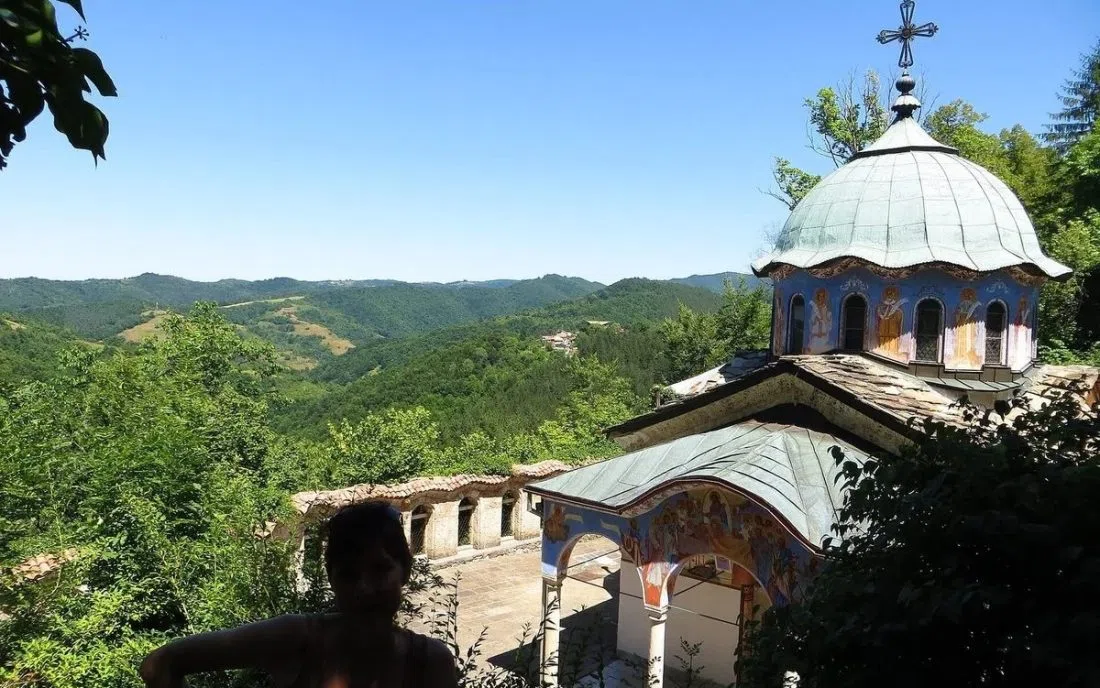 Зелено дърво
