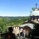 Зелено дърво