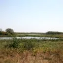 Граничар