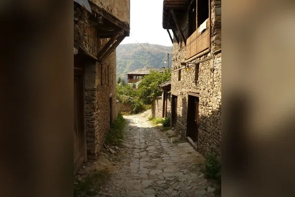 Ковачевица