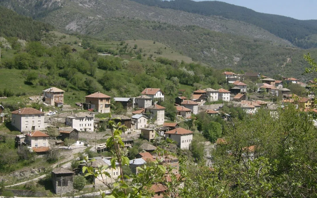 Широколистна гора над село Орехово