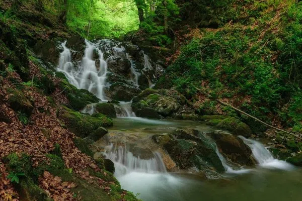 Планински поток край екопътеката