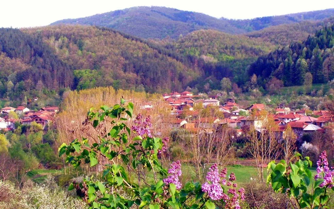 Калейца