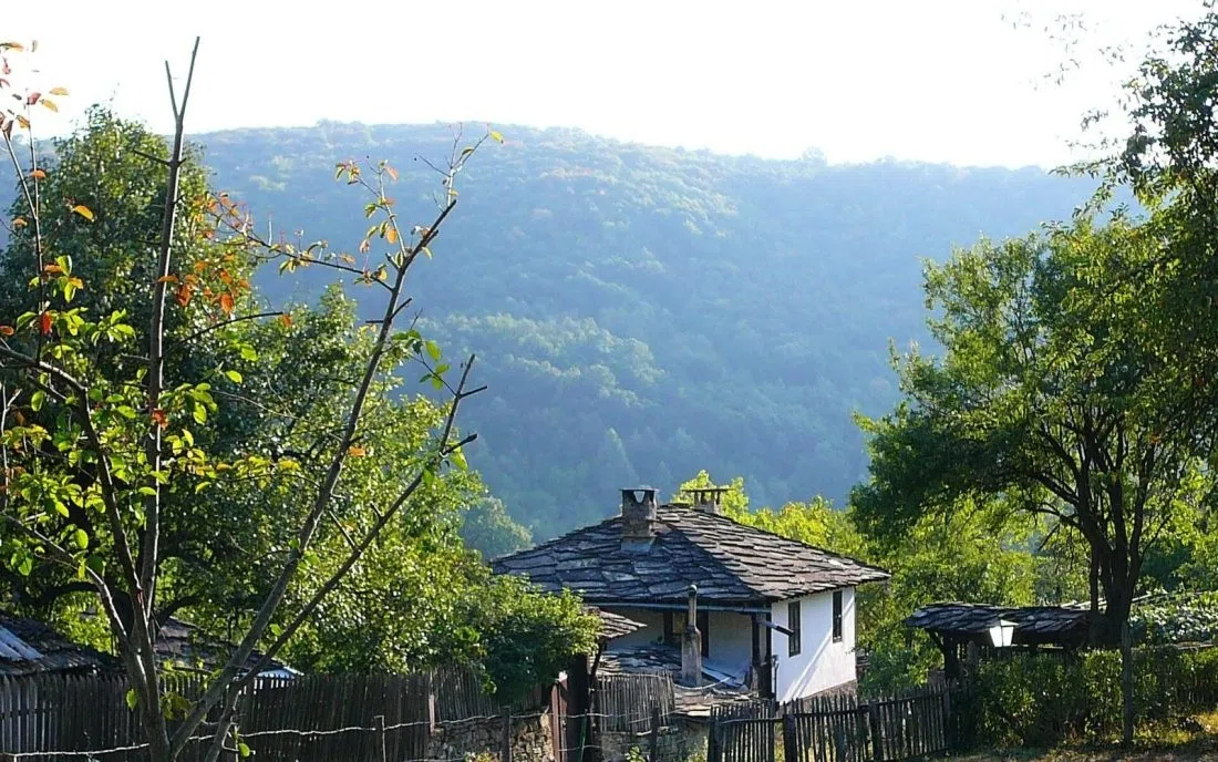 Габъровите гори на Предбалкана край Кметовци