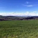 Бръчковци