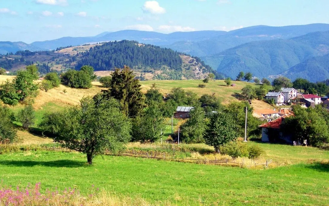 Гела