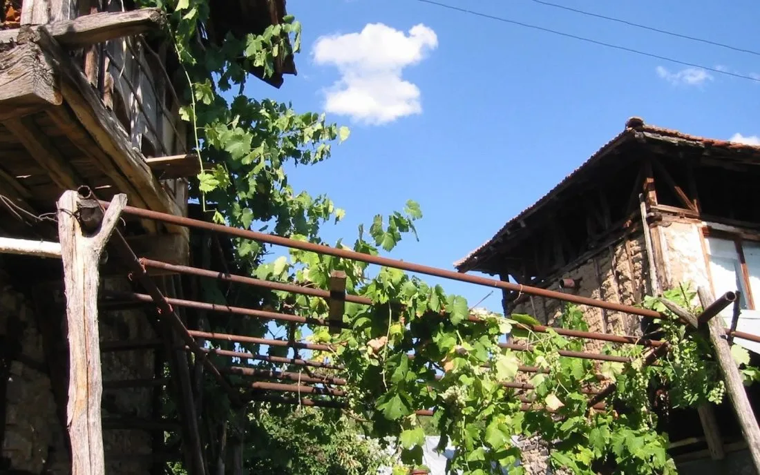 Стара къща с лозница в Кашина
