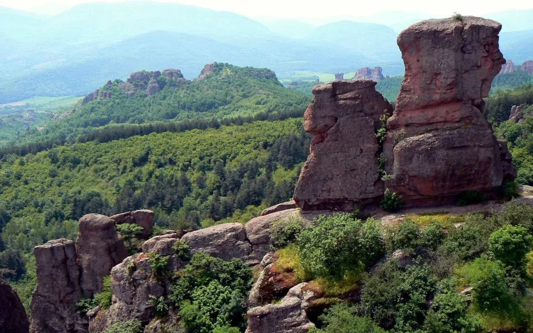 Боровичене