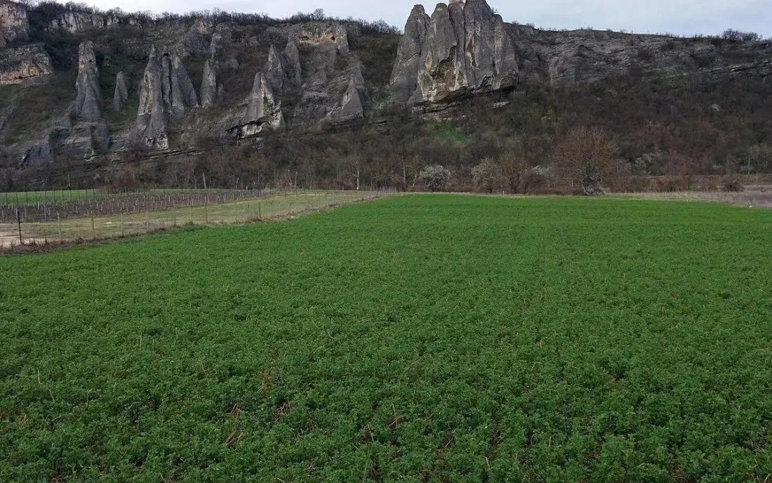 Скални формации в геопарка край Дерманци
