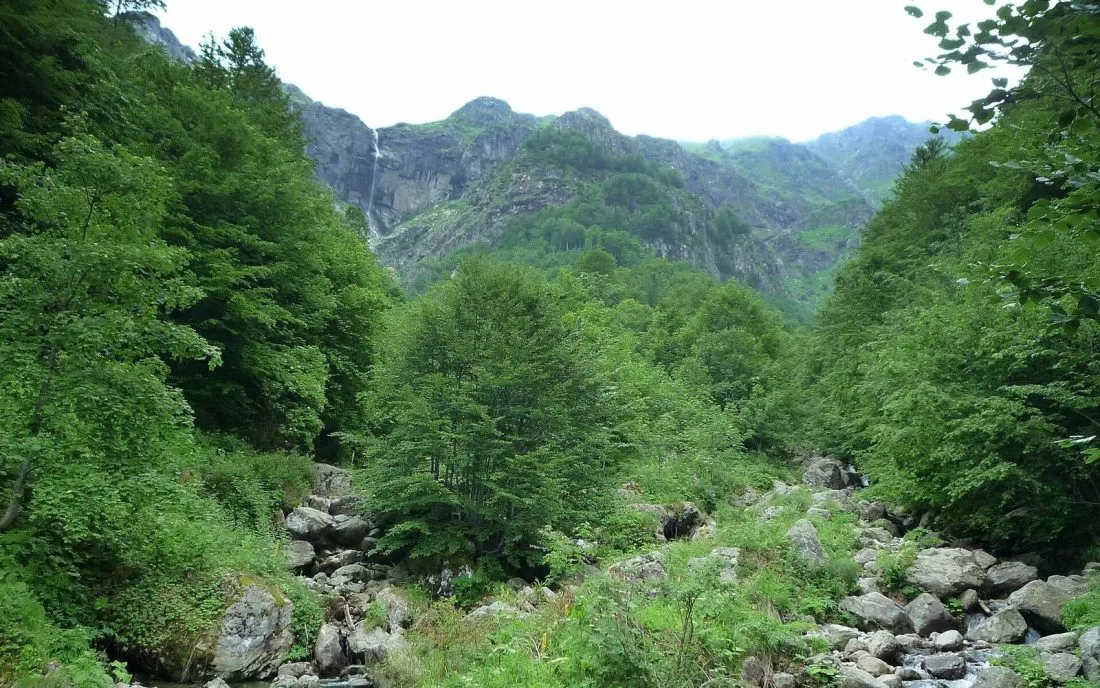 Планински поток в дефилето