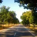 Кладоруб