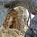 Зелениград
