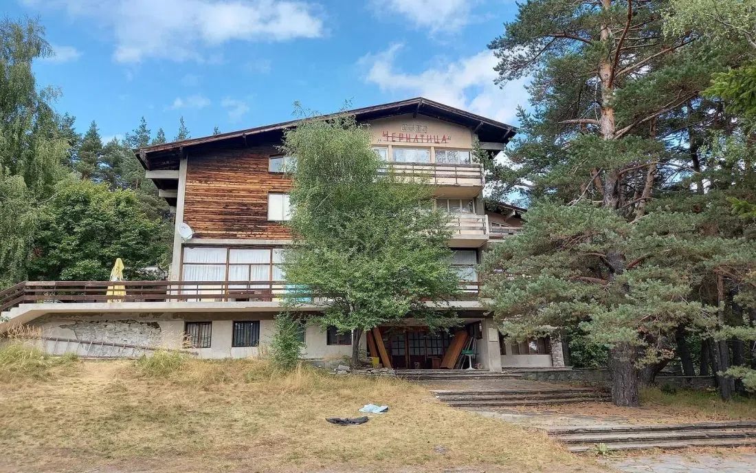 Вилна зона сред боровете край Брестник
