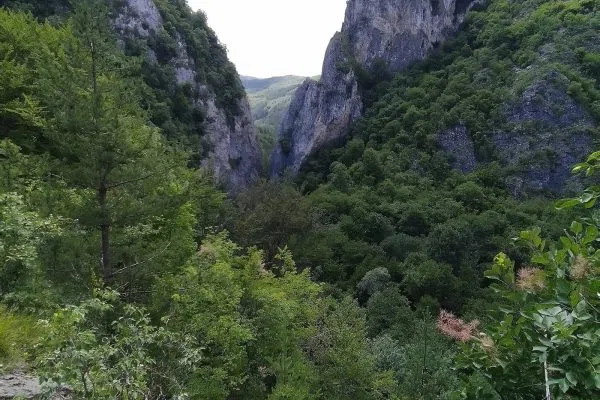 Зеленото ждрело на Ерма