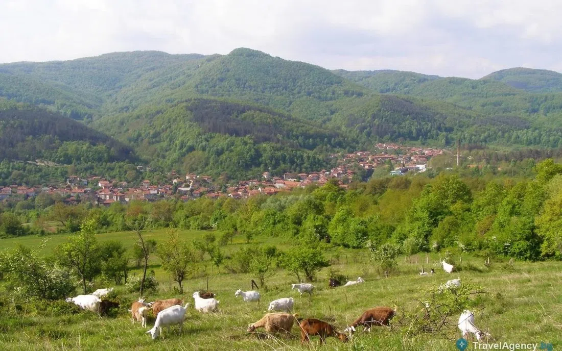 Пасища над Калейца
