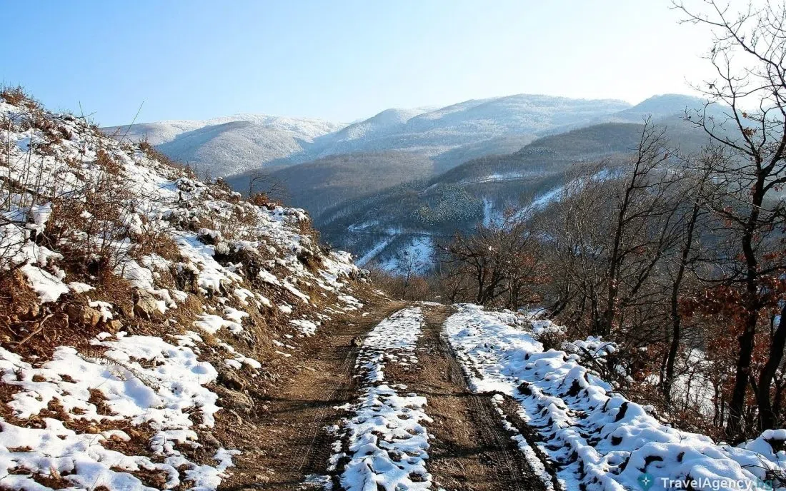 Заснежен планински път край Белово