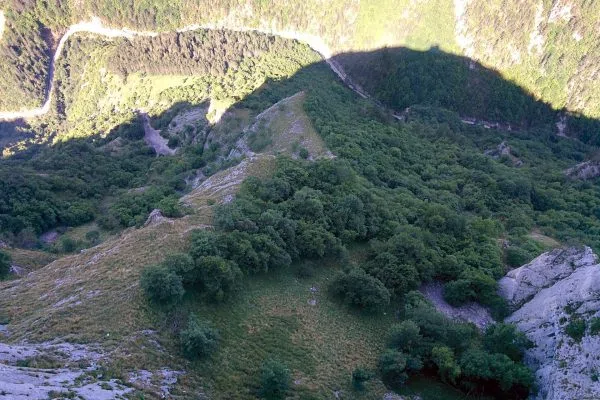 Залесени склонове над Буйновското ждрело