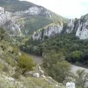 Драгана
