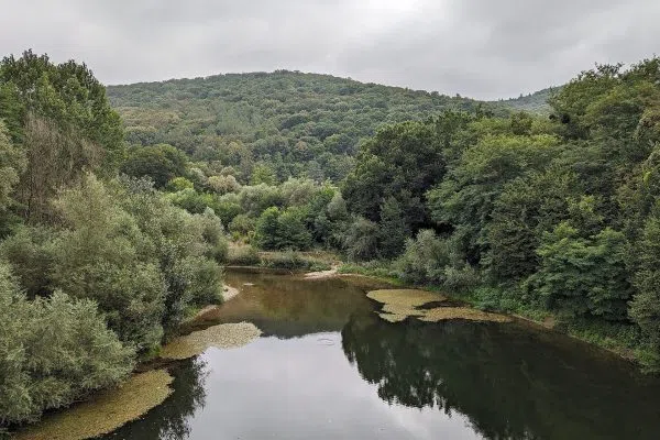 Река Велека в гората