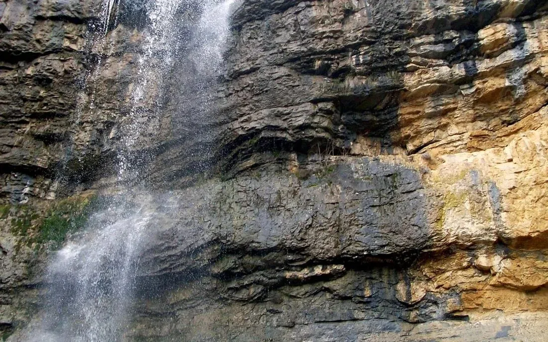 Заселе
