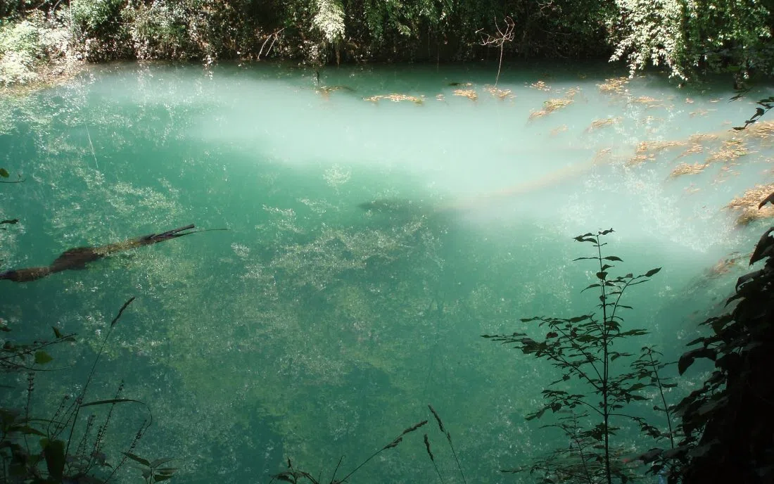 Карстовият извор Златна Панега със синьозелената си вода