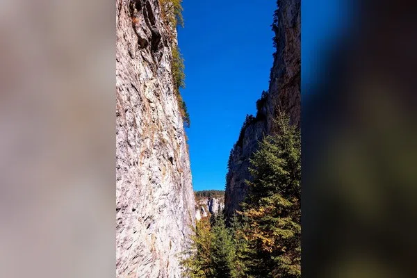 Родопи