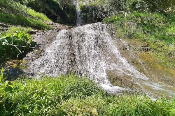 Ветрилообразна каскада на водопада Скакля сред тревата