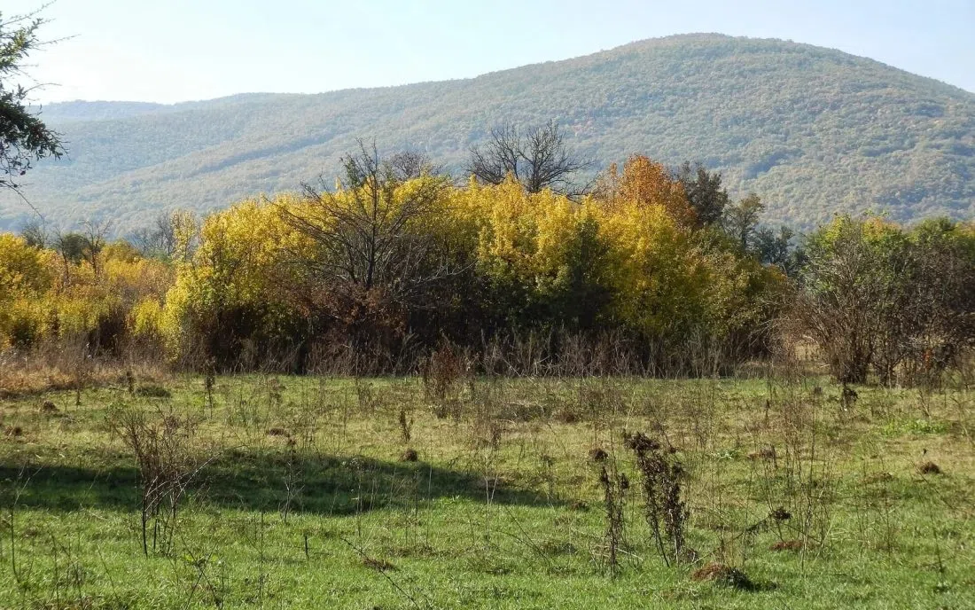 Есенно поле край Ковачевци