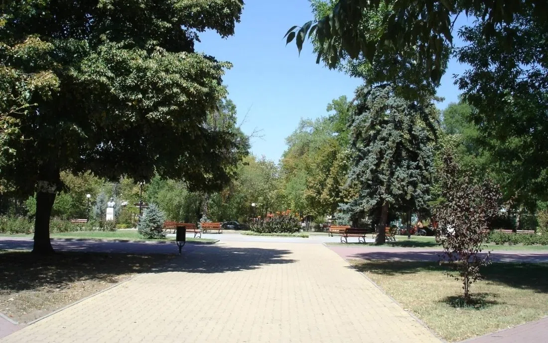Широка алея в подредения парк на Димитровград