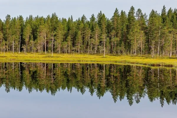 Есенните гори се оглеждат в тихо финландско езеро