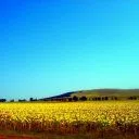 Краище