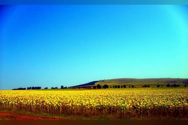 Краище