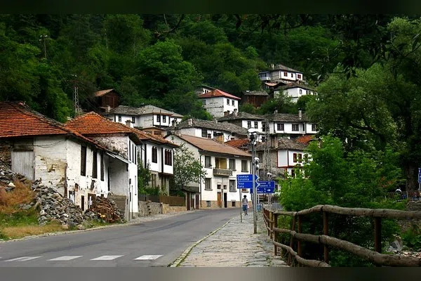 Широка лъка