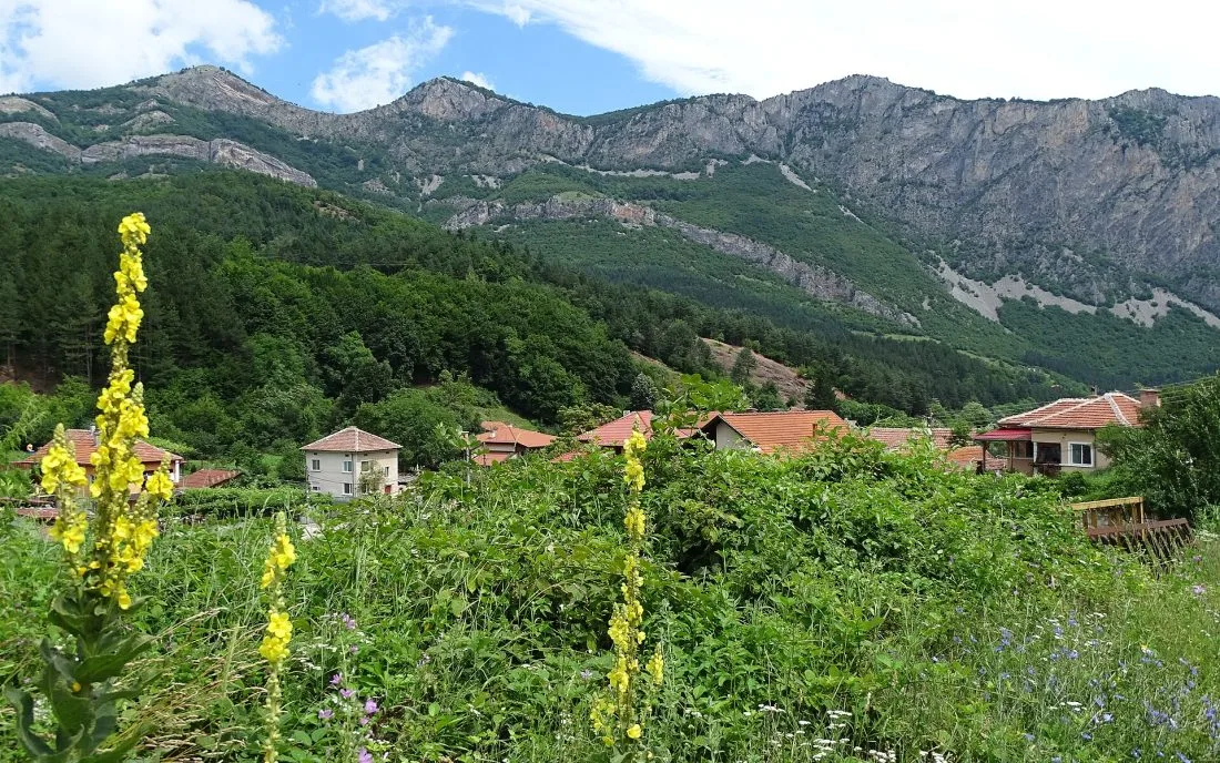 Панорама на Водопад Сливодолско падало