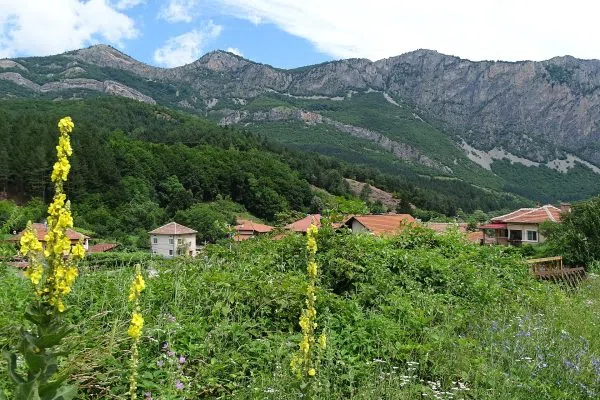 Панорама на Водопад Сливодолско падало