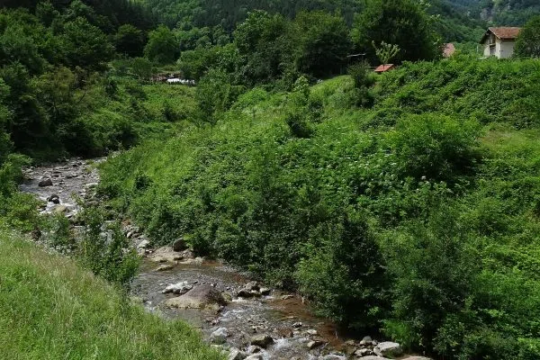 Забележителност в Водопад Сливодолско падало